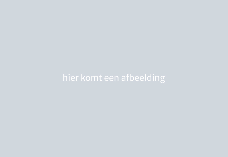 Dit is een voorbeeld titel